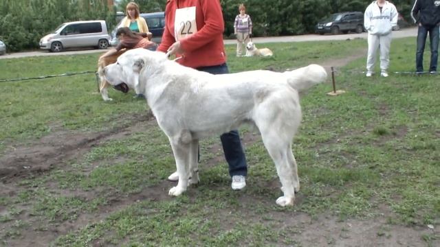 22 ном Кузбасс Баши Акбарс смотреть онлайн