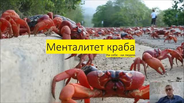 Бизнес с нуля . Как люди относятся к " стартаперам ". смотреть онлайн
