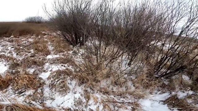 Охота на зайца. Тропа22. Резиновые перчатки. смотреть онлайн