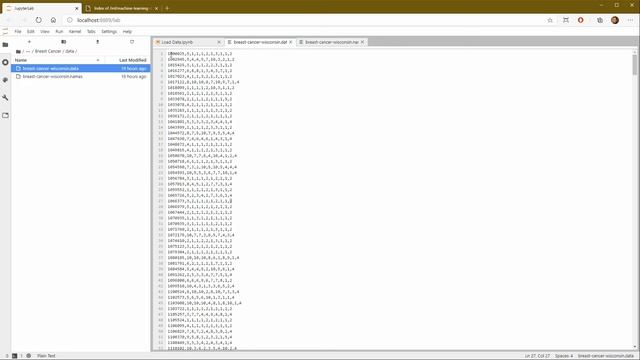 3. Loading Data Into a JupyterLab Notebook Using Pandas смотреть онлайн