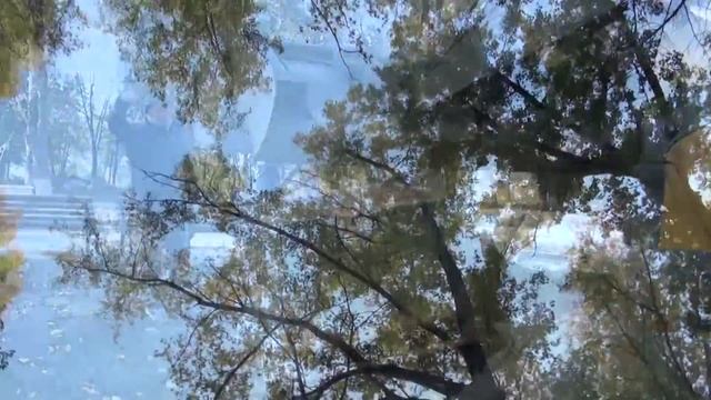 Реконструкция Комсомольского парка в станице Динской. Парк до и после. смотреть онлайн