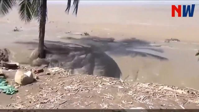 Разговор по душам с Абсолютом глава 11 смотреть онлайн