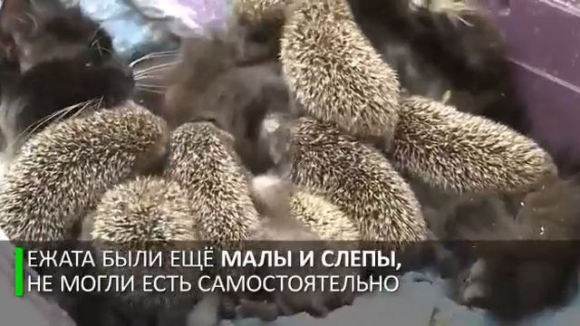 Вот что значит мама смотреть онлайн