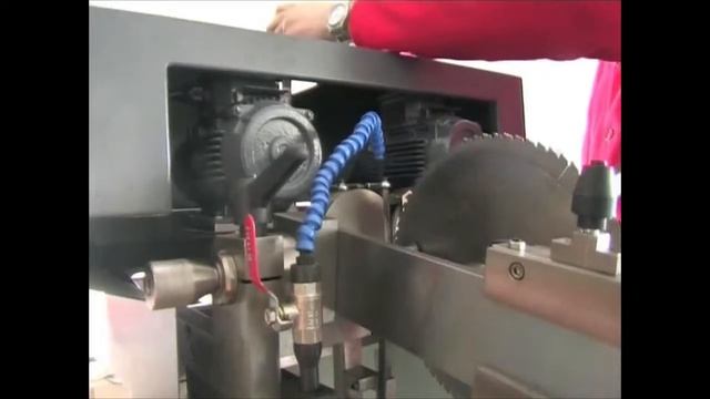 Станок для заточки дисковых пил по боковым граням EDT 2M смотреть онлайн