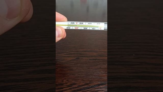 Как избавиться от укуса осы немки или (бархатный муравей). Последствия укуса смотреть онлайн