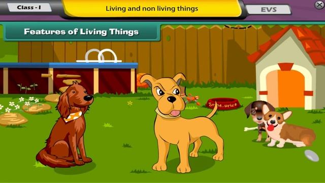 Living Non living things смотреть онлайн