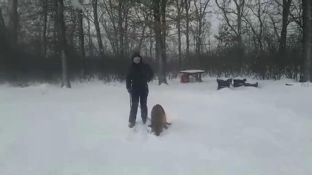 Баларис Керчь, 15 мес! Тренинг Юлия Латынкина смотреть онлайн
