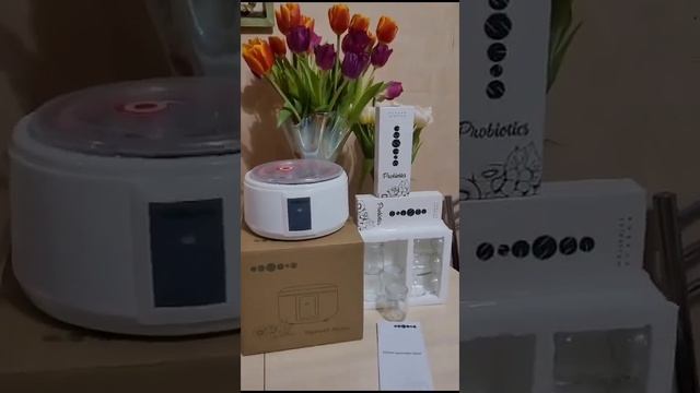 ESSENS смотреть онлайн