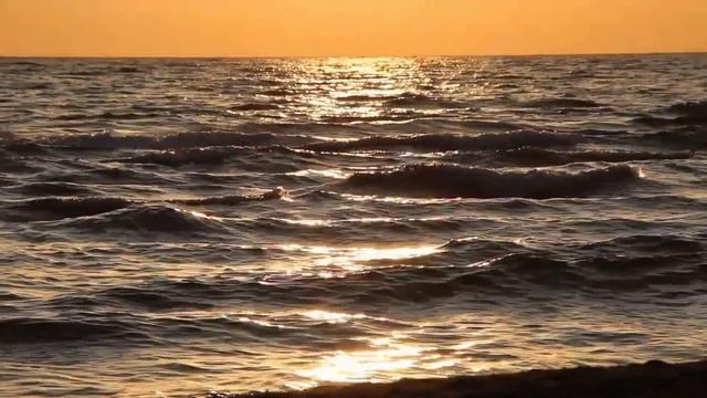 чайки над водой смотреть онлайн