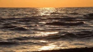 чайки над водой