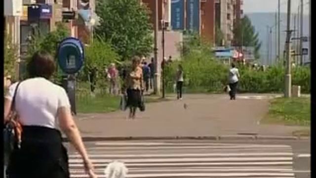 АЗБУКА БЕЗОПАСНОСТИ ЮНЫЕ ПЕШЕХОДЫ смотреть онлайн