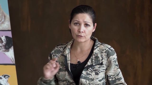 Собака из приюта. Адаптация в доме смотреть онлайн