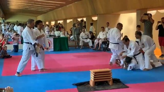 Exhibición sensei Ricardo Mata 7 Dan WSKF смотреть онлайн