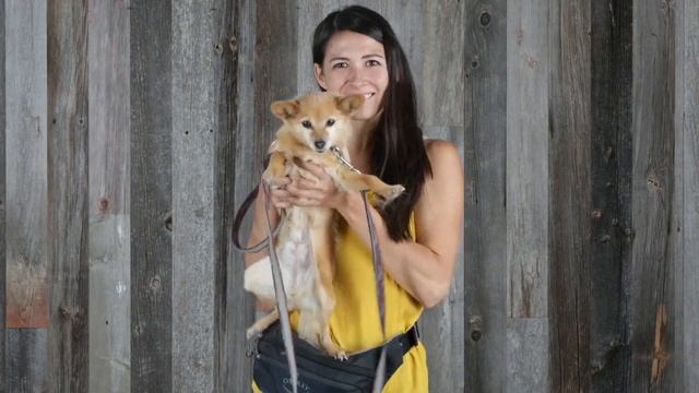 Osprey® Daylite® Recycled Polyester Waist Pack смотреть онлайн