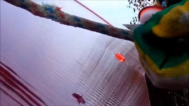 Навес для автомобиля из поликарбоната