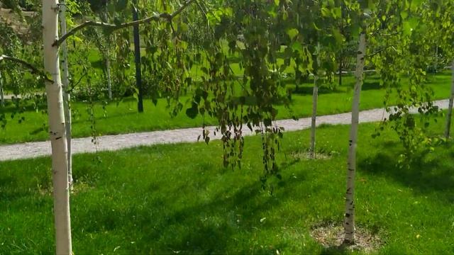обзор Софиевского парка часть 1/4 смотреть онлайн