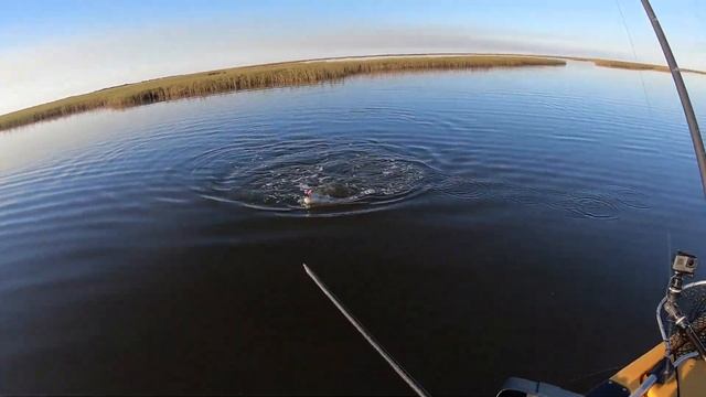PAC Kayak Mothership with the Boys | Louisiana Kayak Fishing смотреть онлайн