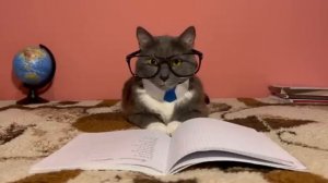 ЕСЛИ БЫ КОТИКИ ХОДИЛИ В ШКОЛУ - ШПАРГАЛКА ЛОТКОВА (МИНИ СЕРИЯ) →
@kotynet →