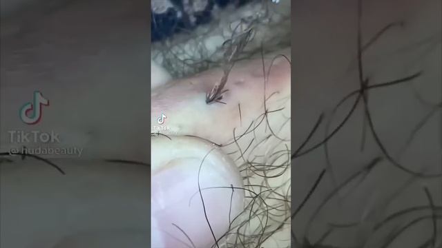 Музыкальные Каверы