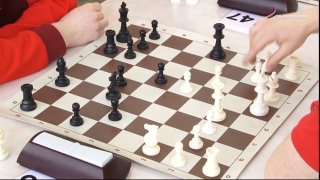 Тринадцатый турнир по шахматам "Серпуховский рапид" состоялся в школе №12 смотреть онлайн