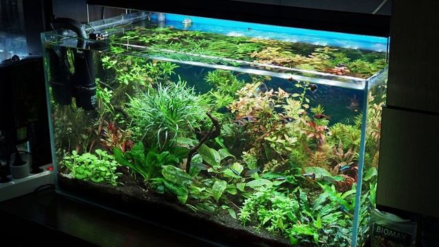 Замена мембраны в фильтре обратного осмоса для аквариума смотреть онлайн