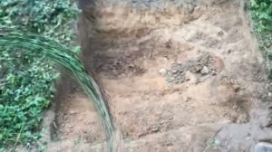 Вольер для кроликов на свободном выгуле. Веселые кролики. Дачная Жизнь ТВ.