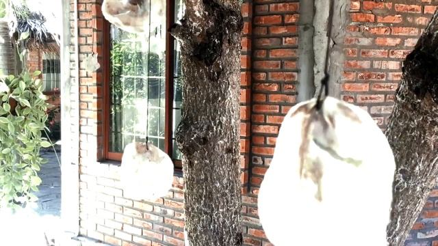 NON stop BAND смотреть онлайн