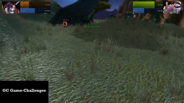 WoW Classic 4. PvP Turnier Horde und Allianz Teil 2 смотреть онлайн