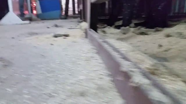 Мане 3 года смотреть онлайн