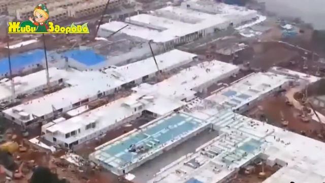 Что нужно знать о Коронавирусе. Симптомы заражения, лекарства смотреть онлайн