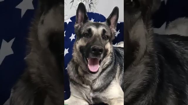 РЕДЧАИШИЕ КАДРЫ ВЕО МИРА