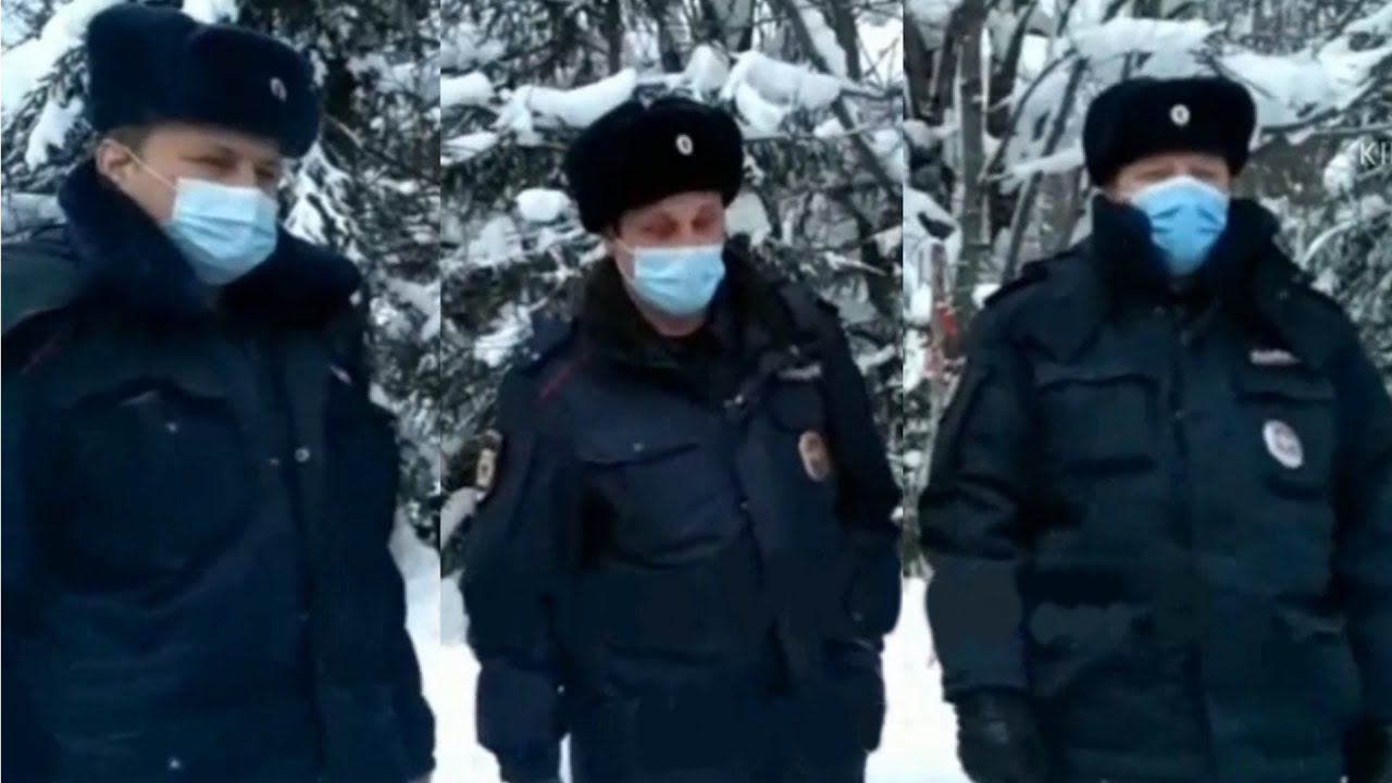 Какая ОПГ действовала в Шиесе? смотреть онлайн