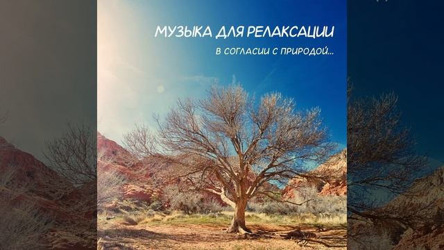 Дверь по-прежнему открыта! смотреть онлайн