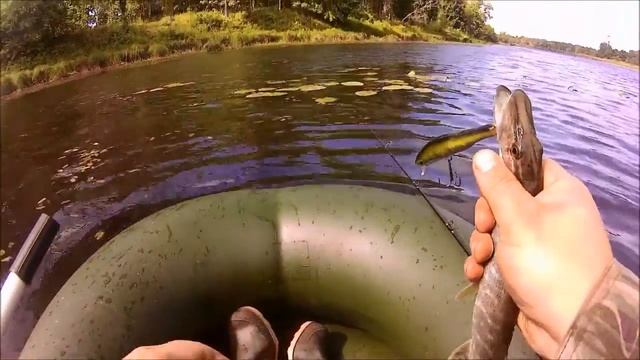 Ловля щуки и окуня Старица Клязьмы смотреть онлайн