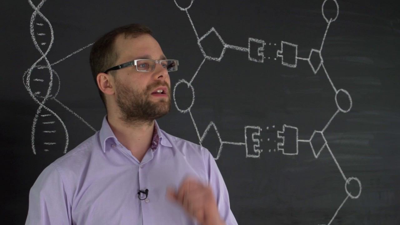 4.2 Строение ДНК. Естествознание - 10 - 11 класс смотреть онлайн