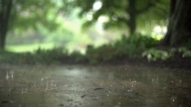 Сказка для детей и взрослых Чудо смотреть онлайн