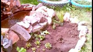 Копия видео «Пруд из старой ванны»