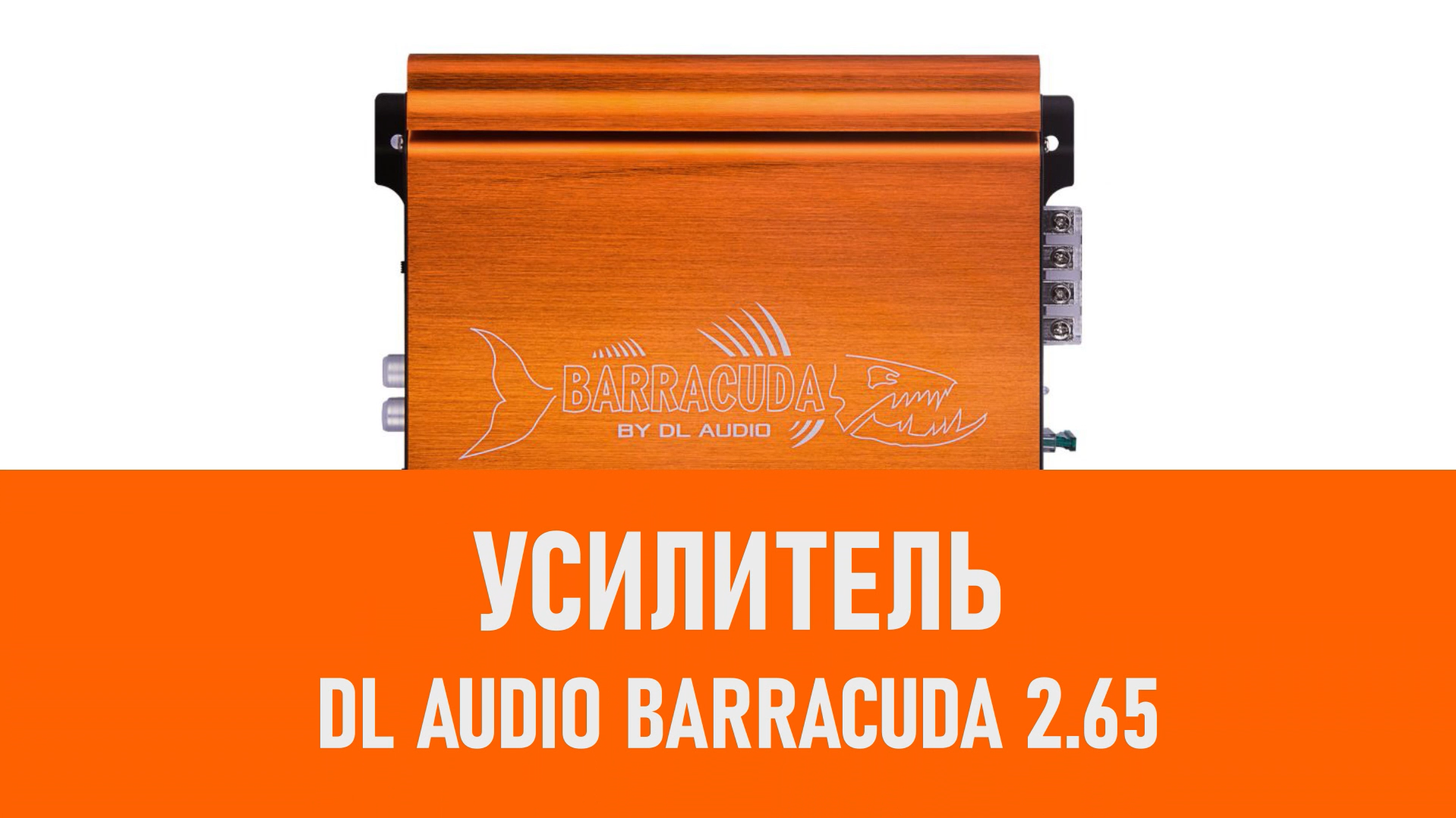 Распаковка усилителя DL Audio Barracuda 2.65 смотреть онлайн