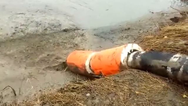 Дноуглубительные работы в окрестностях г.Невинномысска смотреть онлайн