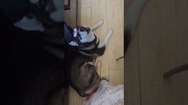 Не взяли гулять смотреть онлайн