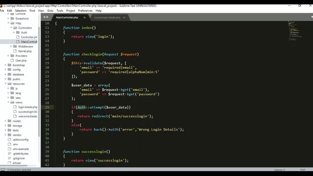 Display Name & Email after Login in Laravel смотреть онлайн