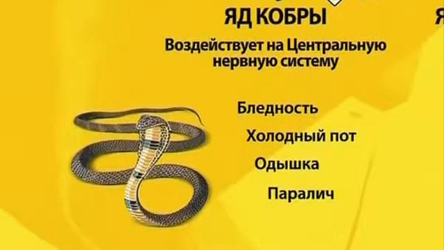 Укусы змей смотреть онлайн