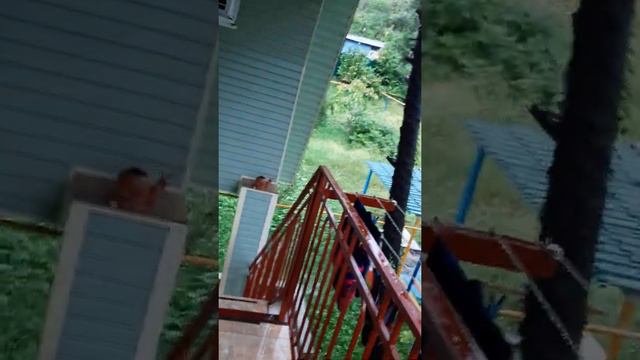 Сильные дожди в Лоо смотреть онлайн
