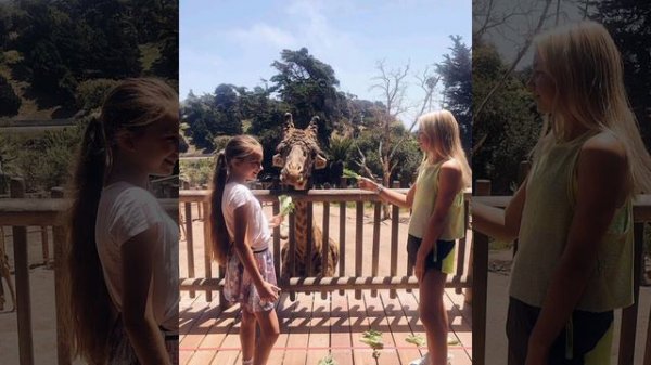 Karolina protsenko photo