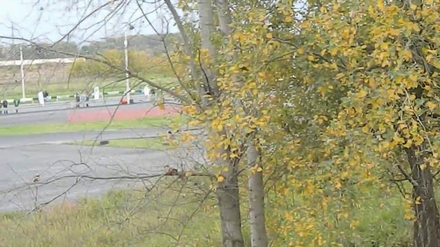 ДРИФТ БЕЛАЯ СТРЕЛА смотреть онлайн