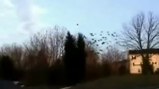 Грачи прилетели??? смотреть онлайн