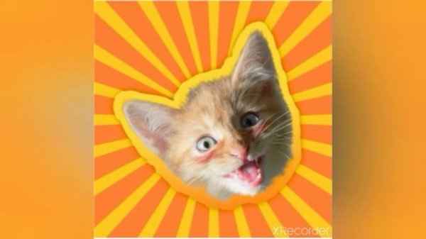 песня Симба я люблю тебя