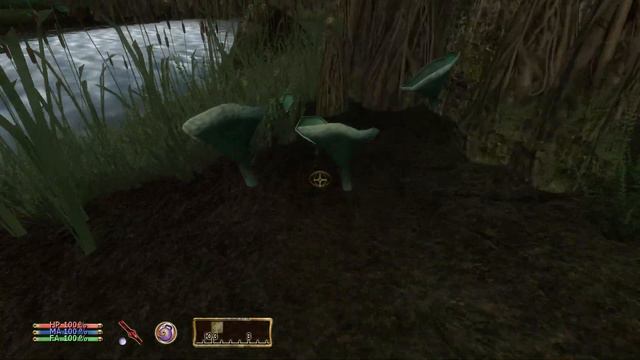 The Elder Scrolls 4 Oblivion смотреть онлайн