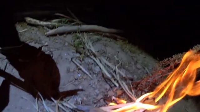 Рыбалка на Дону с ночевкой июль 2020. We missed all the carp Overnight Fishing July 2020 смотреть онлайн