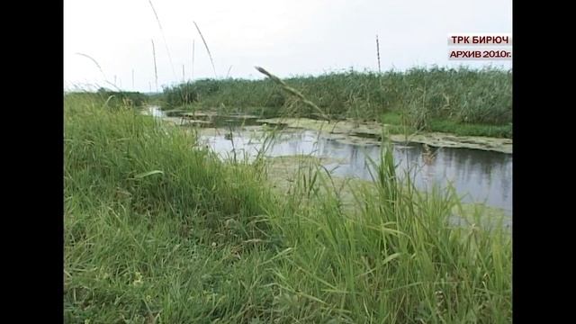 Народный коллектив «Зорюшка» из села Малобыково является старейшим в Красногвардейском районе смотреть онлайн